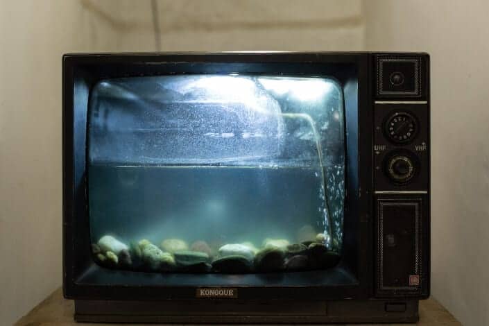 A converted television to an aquarium.